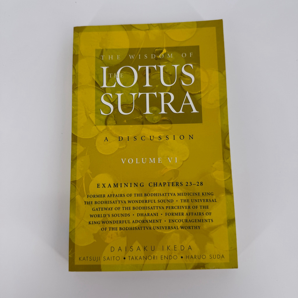 The Wisdom of the Lotus Sutra: A Discussion, Volume VI chapter 23-28